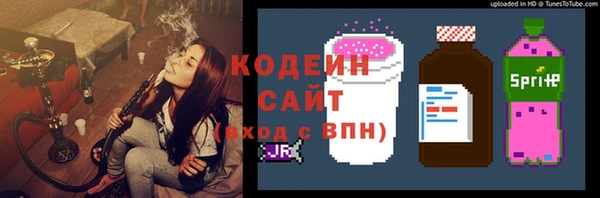 прущие грибы Михайловск