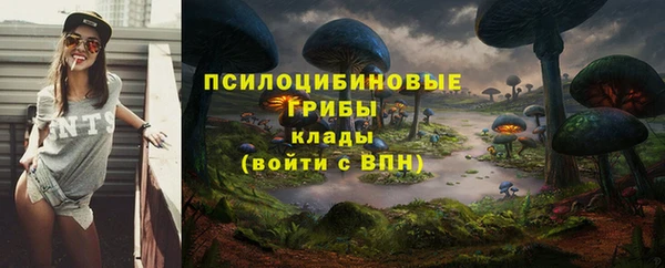 скорость Абаза
